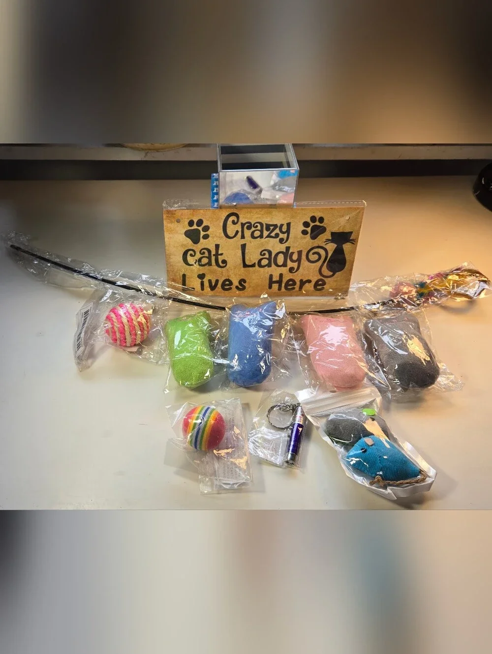 'Crazy Cat Lady Lives Here' Plaque and Assorted Cat Toys Bundle